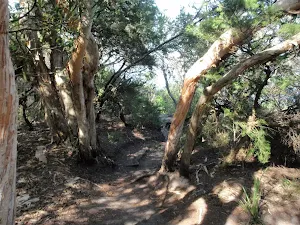 Walking along Hermitage Foreshore Walk