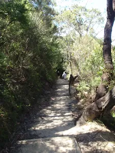 Following the bushtrack around the valley