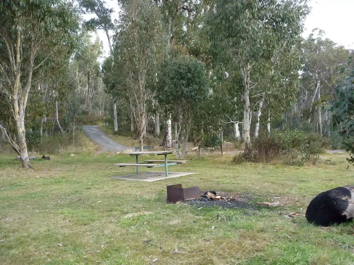 Clover Flat camping area