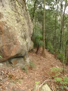 Guringai Walk