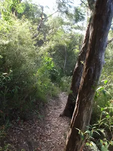 The Magazine Track