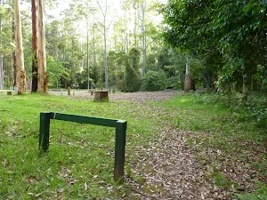 Basin campsite in the Watagans