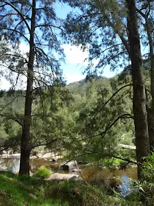 Cox River north of Bowtells Swing Bridge