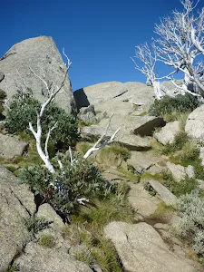 Track leading up to the eastern summit of Porcupine Rocks