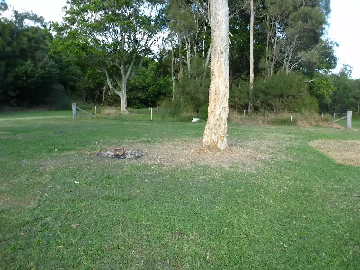 Melaleuca camping ground