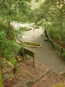 Looking down to Galston Gorge Trackhead