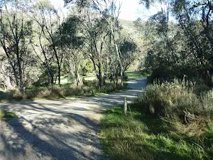 Walking down trail towards golf course
