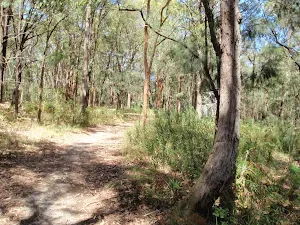 on Sandringham track