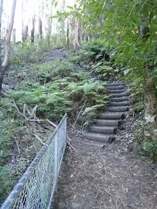 Wooden stairs between Grand Canyon and Evans LO