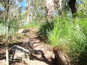 Dry bushland on ridge top