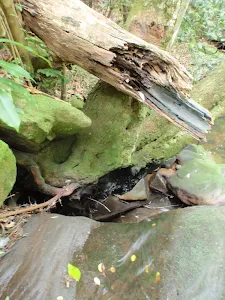 Gordon Creek waterfall