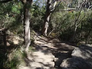 Valley of the waters track above Queen Vic lookout