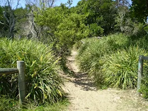 Jibbon Beach end of track