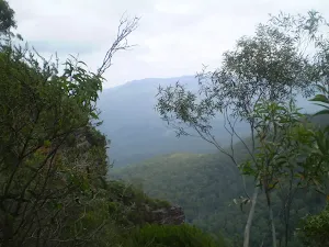 Looking out over the Jamison Valley from the National Pass