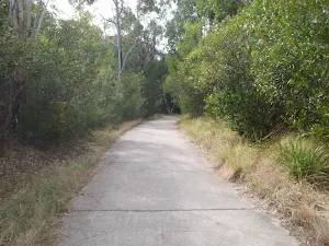 Between Kissing point road and Lane Cove River