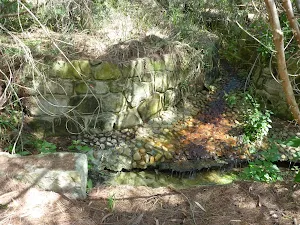 Creek/culvert on Perimeter Trail