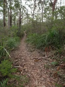 Gently winding track