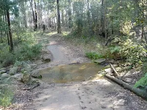 Ford on Perimeter Trail near Terrey Hills
