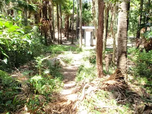 Track leading into the back of the Palms Picnic Area