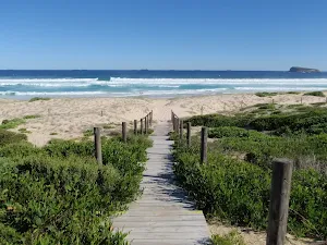 Tea Tree Picnic Area to Birdie Beach