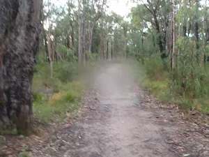 Trail up to Station St