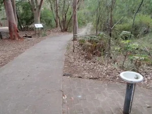 Water in Bungoona picnic area