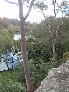 Lookout