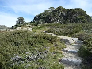 Granite steps