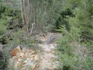 Track beside Erskine Creek