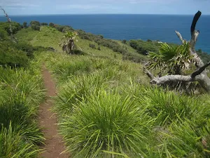 Looking down ridge burning palms on right