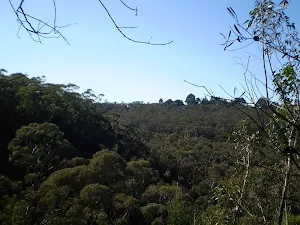 Looking down the valley near the Bate St Intersection