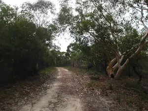 Gibbergong track east of lookout track