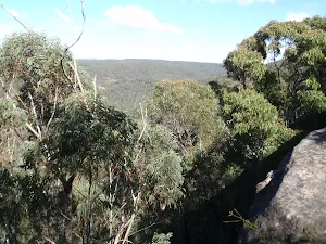 View from the cliffs