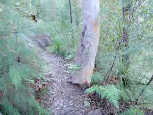Gum on the side of Jack Evans track
