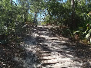 Erosion control board walk