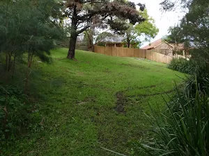 Behind Edgar St Park