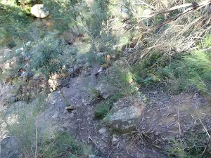 Track near Grose River