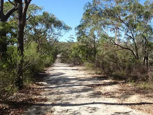 OGNR north of Finchs Line