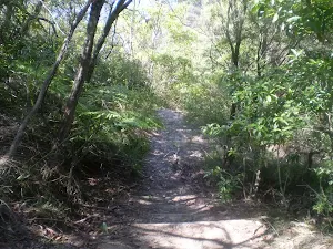 Track away from the road at Solitary Kiosk