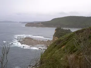 Bouddi Spur to Little Beach via Bombi Moor