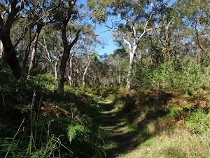 Into the wetlands