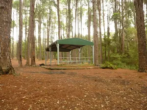 Metal shelter at the Pines Picnic Area in the Watagans