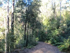 Walking along Simpson Track