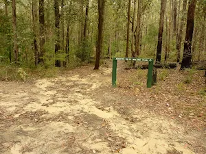 Track and sign in the Watagans
