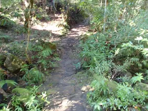 Along the track