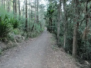 Lady Carrington Drive north of Palona Brook