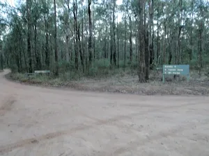 Track to the Causeway
