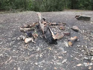 Fireplace in clearing