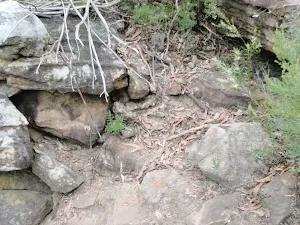Gully track passes down near Attic Cave