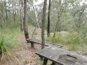 Old Picnic Table and bench
